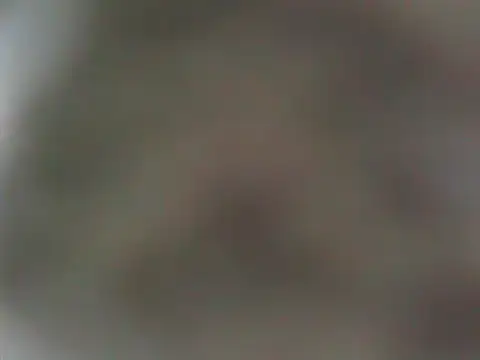 expenser37's cam snapshot