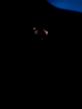 MAFE__29's cam snapshot