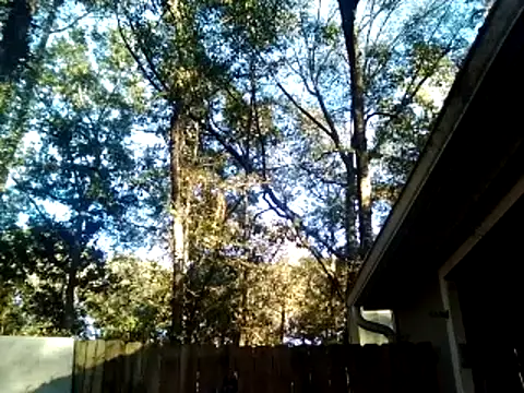 Buffshagswell live sex cam