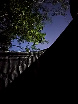 demonaughtyyy's cam snapshot