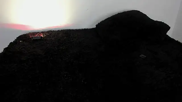 Laurensmith9's cam snapshot