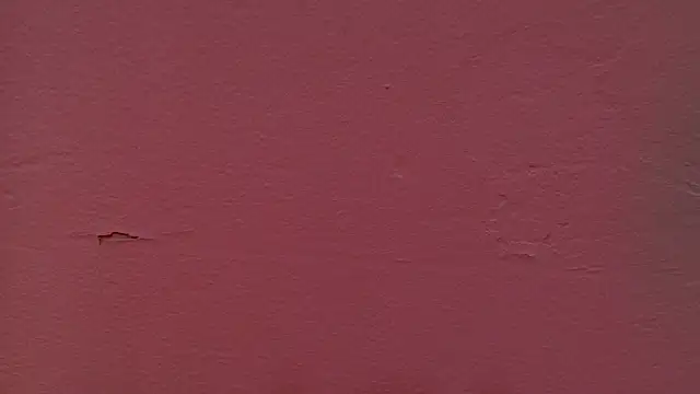 anisha_x's cam snapshot