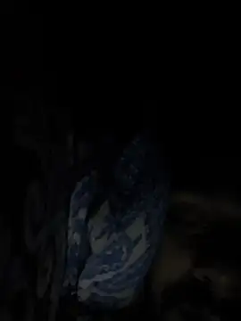 Horny_boy_aditya live sex cam