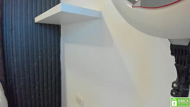 Sussy_Vixen's cam snapshot