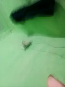 DilRani66's cam snapshot