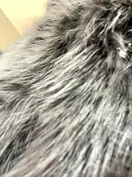 StasyWood's cam snapshot