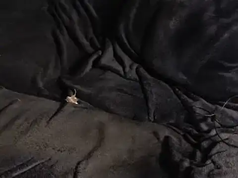 torso893 live sex cam