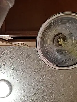 Big_Dickkk321 live sex cam