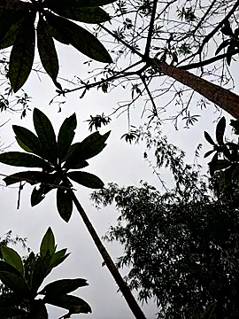 xuxulovezz's cam snapshot