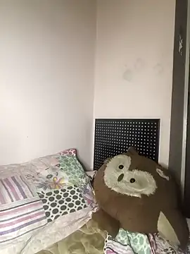 belliginger's cam snapshot