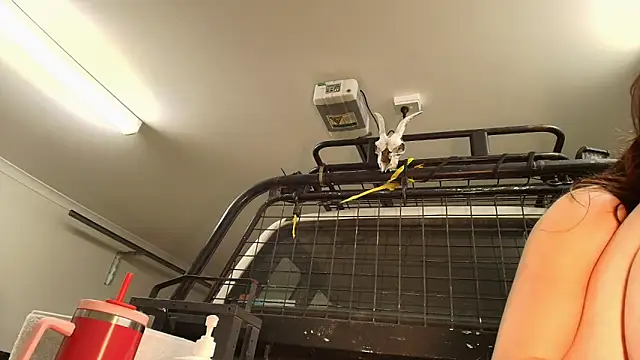 aus_queen live sex cam