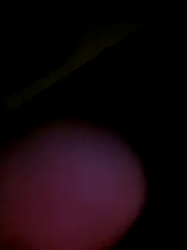 Alex840012 live sex cam