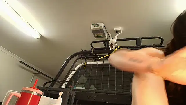 aus_queen live sex cam