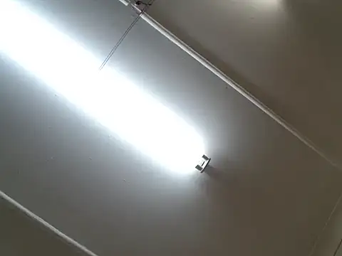 Ninjainia's cam snapshot