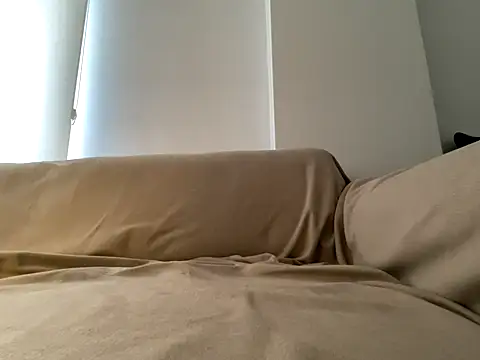 Banshhee's cam snapshot