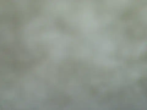 Sanaforlove's cam snapshot