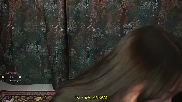 disco_elysium's cam snapshot