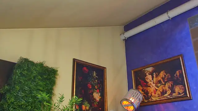 nicolepalmer's cam snapshot