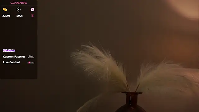 MercBoone live sex cam