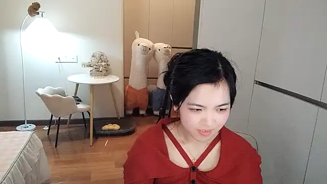 XiaoAnQi's web cam