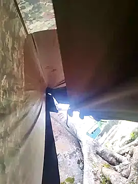 Alabestia12's cam snapshot