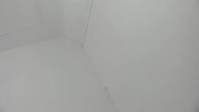 Tanisha__campbell's cam snapshot