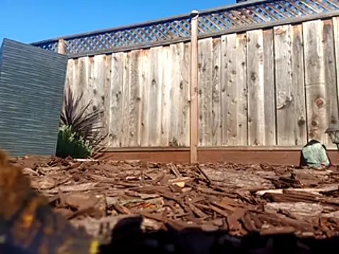 DevinToore's cam snapshot