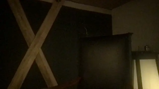 LadyShannie's cam snapshot