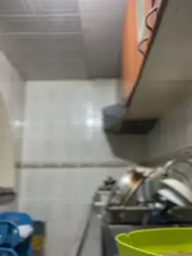 Carola-Ross's cam snapshot