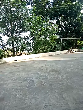 sipy-'s cam snapshot