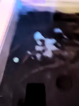 HeteroMeztizo's cam snapshot