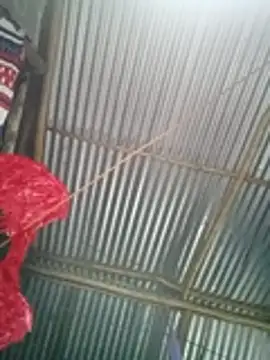 Soymaia's cam snapshot