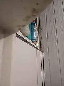 1995eduardo's cam snapshot