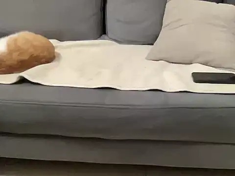 4small4inchlol's cam snapshot