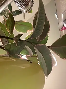 1n0nlythroat's cam snapshot