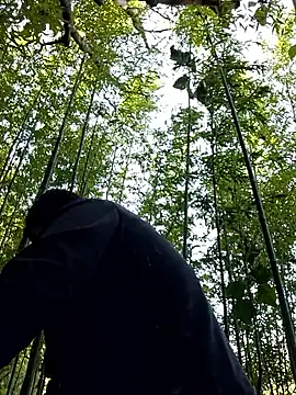 diamond--'s cam snapshot