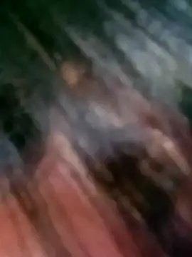 maple694's cam snapshot