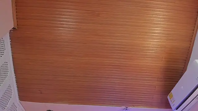 viiolett_lee's cam snapshot