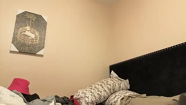 hailzeffn's cam snapshot