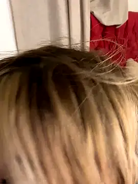 akirahattori's cam snapshot