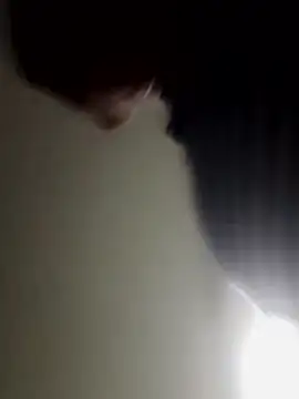 luchoarr live sex cam