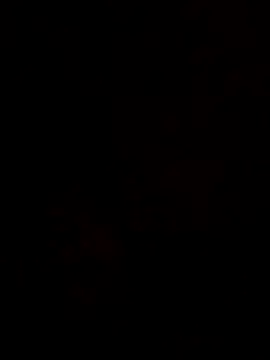 Gordin479's cam snapshot