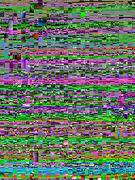 Elie-3's cam snapshot