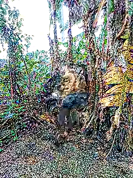 Mainay0033's cam snapshot