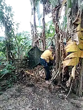 Mainay0033's cam snapshot