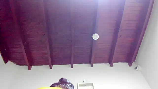 ariana-martins's cam snapshot