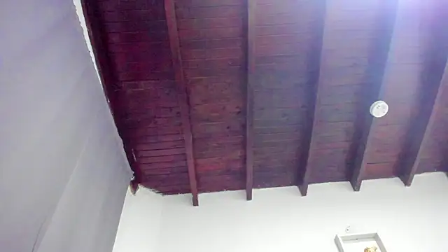 ariana-martins's cam snapshot