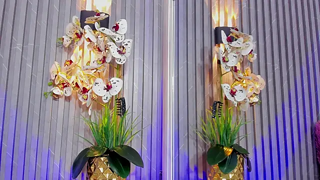 DAFNECOX's cam snapshot