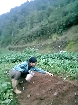 ngan-cute's cam snapshot