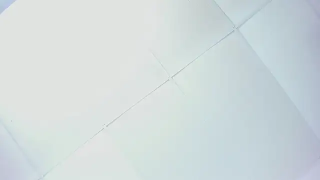 catalinawheelss's cam snapshot